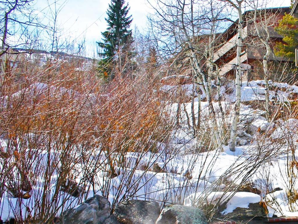 Terracehouse By Snowmass Vacations Apartment Сноумас Вилидж Екстериор снимка